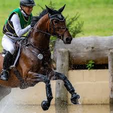 She appeared at four olympics from 2000 to 2012. Klimke Ingrid Equistro