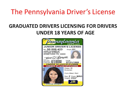 We did not find results for: The Pennsylvania Driver S License Ppt Download