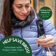 NYC Bird Alliance