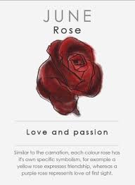 Pin On Meanings For Birthdays Flowers Etc