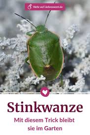 Pin Von Jumago Judith Blogging E Auf Wildtiere In 2020 Hausmittel Wanze Schadlinge Im Garten