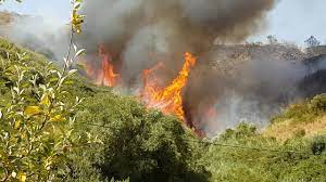 Mantente informado con las últimas noticias, videos y fotos de incendios que te brinda univision | univision. Incendio Santa Iria Da Azoia Loures 09 08 2016 Youtube