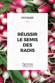 Le Radis Semer Cultiver Recolter Cultiver Potager Jardinage Potager
