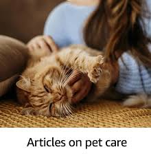 Are you a new pet parent, or looking to bolster your pet care skills? Pet Supplies Buy Pet Supplies Online At Best Prices In India Amazon In