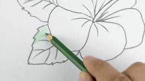 5 easy pencil drawings to try pencil drawing #1: Simple Ways To Shade With Colored Pencils 12 Steps