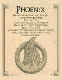 7b4e2d5e5e8491fea5521b2d9844dbfe Jpg 350 453 Pixels Book Of Shadows Spell Book Animal Spirit Guides