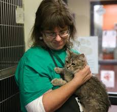 Our hospital's purpose is to serve our clients by caring for their pets in a professional and courteous manner. Humane Society S Healthy Pet Clinic Serves Thousands Of Animals In First Year Gainesville Times