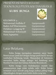 Daftar gambar gambar 2.1 gambar siput semak 9 gambar 2.2 struktur rumus fentin asetat. Kubis Bunga