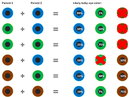 What Will Be The Color Of The Eyes Of Your Newborn Baby Eye Color Chart Genetics Eye Color Chart Baby Eye Color Chart