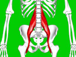 A groin pull, or groin strain, is a type of sports injury in which one of the adductor muscles in the groin area is torn or ruptured. Hip Flexor Strain Symptoms Causes And Treatment