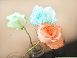 All you need is food coloring and water and generally a white flower. How To Dye White Roses With Food Coloring 8 Steps With Pictures