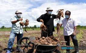 Kampung ini terletak di daerah tampin. S Egrhc01qiz1m