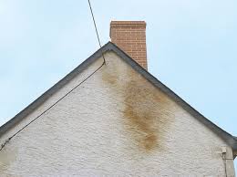 We did not find results for: Humidite Du Sol Aux Murs De La Cave Au Grenier Maison Travaux