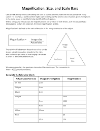 Check spelling or type a new query. Mag Size Scale Bars