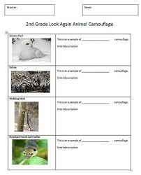 Animal Camouflage Activities Animal Camouflage K 5 Computer Lab Technology Lessons Technology Lessons Camouflage Activities Animal Adaptations