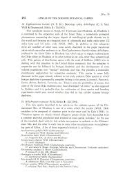 Image result for Thesium chimanimaniense