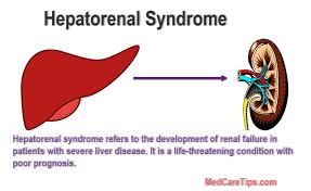 But, palmar erythema can also affect the fingers and the thenar eminence area. Hepatorenal Syndrome Causes Presentation And Treatment Medcaretips Com