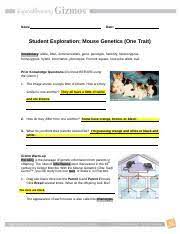 (more) the question, what are the genotypes of the. Day 1 Mouse Genetics Gizmo Student Exploration Sheet Name Date Student Exploration Mouse Genetics One Trait Vocabulary Allele Dna Dominant Course Hero