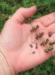 Pin On Farm