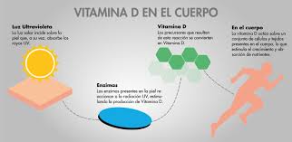 Si quieres saber más sobre la vitamina del sol, consulta la guía vitamina d de la vitamin d. Vitamina D La Vitamina Del Sol Stannah