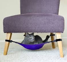 Ilgili Resim Mobilya Hamaklar Kedi