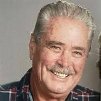 David A. Nye Obituary (2024)