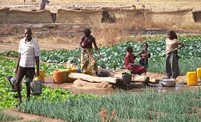 L'agriculture au Burkina Faso