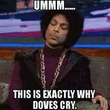 I'll be pulling the best funny photos aka 2021's best memes each day. 26 No Ideas Funny Memes Hilarious