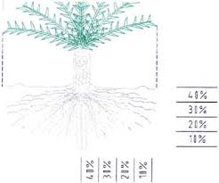 Chapter Vii Date Palm Irrigation