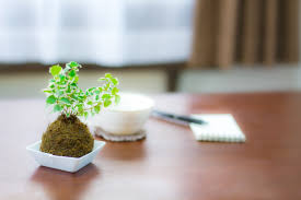 私の彼は既婚者です - 心理カウンセラー沼田みえ子オフィシャルサイト