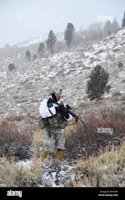 Spc. Larry Nava of the 1-160th Infantry, California Army National Guard,  conducts a light patrol to test conditions, battle load, and clothing  layers as they experience ever-changing weather forecasts during Operation  Red