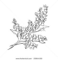 Stock Vector Outline Bouquet Of Flowers Lily Valley On White Background Vector Illustration 259644350 Jpg 450 4 Lily Of The Valley Flower Tattoo On Side Lily