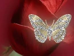 În noaptea asta toată lumea e a mea. Maria Buza Fluturi Galbeni Video Dailymotion