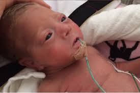 Fundraiser by malika rose : Akari and Eva