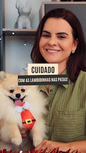 Alerta para tutores: lambedura excessiva nas patas! 🐾, Se o seu pet está  lambendo as patas com muita frequência, é hora de ficar atento!, Esse  comportamento pode indicar desde alergias, estresse ou ...