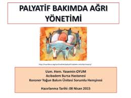 Palyatif bakım konusu 'yaşamı tehdit eden hastalıklardan kaynaklanan problemler ile karşılaşan hastaların ve hasta yakınlarının yaşam kalitesini, tüm fiziksel. Palyatif Bakim Izmir Katip Celebi Universitesi