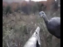 Check spelling or type a new query. Turkey Hunting Funny Reinactment Youtube