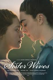 Drei Ehefrauen und ein Ehemann (Fernsehserie 2014–2017)