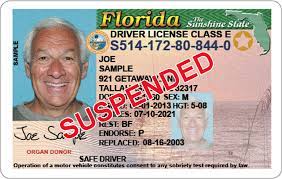Per florida state law fr44 insurance is required to be paid in full for the first six months. Sr22 Fr44 Insurance Accurate Insurance Okeechobee Fl