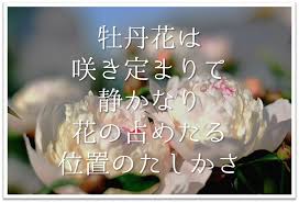 牡丹花は咲き定まりて静かなり花の占めたる位置のたしかさ