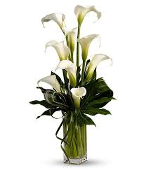 We did not find results for: Calla Lilies Delivered Calla Lily Bouquets Fromyouflowers