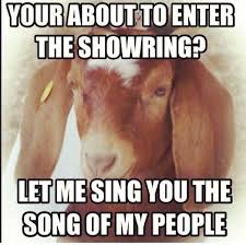 Image result for Kidding Goats, Tails To Pin, Donkeys At Parties