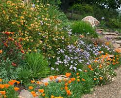 Drought resistant flowering plants california. Advice For Gardening In Sonoma County S Summer Dry Climate