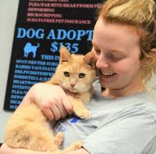 Pet Adoptions Quell COVID-19 Isolation