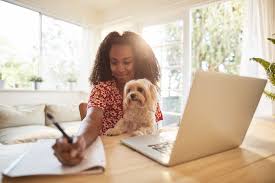 Progressive pet insurance by pets best provides employers and their employees flexibility. Progressive Teams With Petsbest For New Pet Insurance Benefit Employee Benefit News