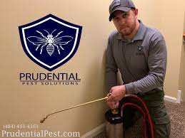 Mooloolaba, noosa, caloundra, buderim, maroochydore, nambour, gympie, tewantin, cooroy, nambour. How Often Should The Exterminator Come To My House Prudential Pest Solutions