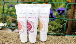 Currently Loving Weleda Tinted Lip Balms Review With Images Tinted Lip Balm Lip Tint The Balm