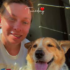 Doggie-Do Grooming and Boarding