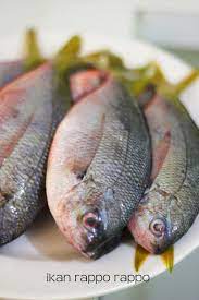 Ikan Pesmol Atau Acar Kuning Adalah Salah Satu Variasi Olahan Ikan Goreng Berbumbu Kali Ini Aku Membuat Pesmol Menggunakan Ikan Rappo Ikan Acar Menggoreng