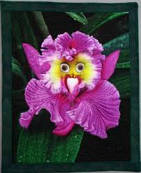 Maybe you would like to learn more about one of these? 490 Rare Orchids Ideas Orchids Rare Orchids Planting Flowers